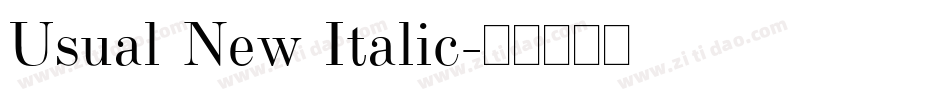Usual New Italic字体转换